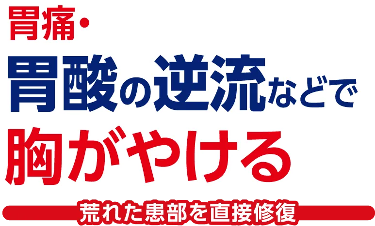 胃痛、胃酸の逆流などで胸がやける荒れた患部を直接修復